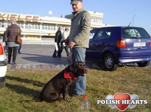 ja i moja sunia ja i moja sunia