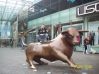 W centrum Birmingham:)