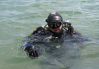 mantaray