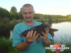 jarek1961
