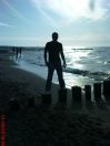 Robert198515