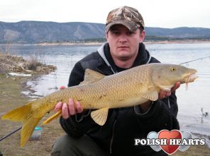 4.5kg 