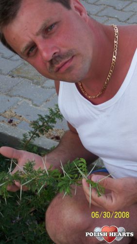 dariusd2
