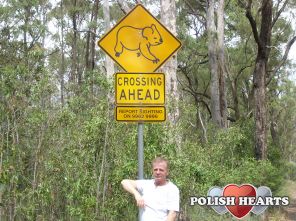 Gdzie są te Koale ?