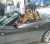 W BMW Welt