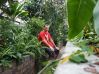 darrower