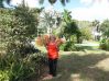 Tropikalny ogrod w Naples Fl.