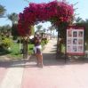 dianadp
