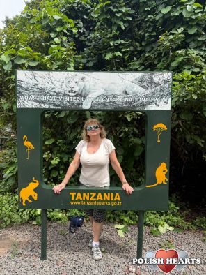 safari w Tanzani 