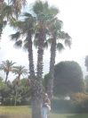 Meqqi